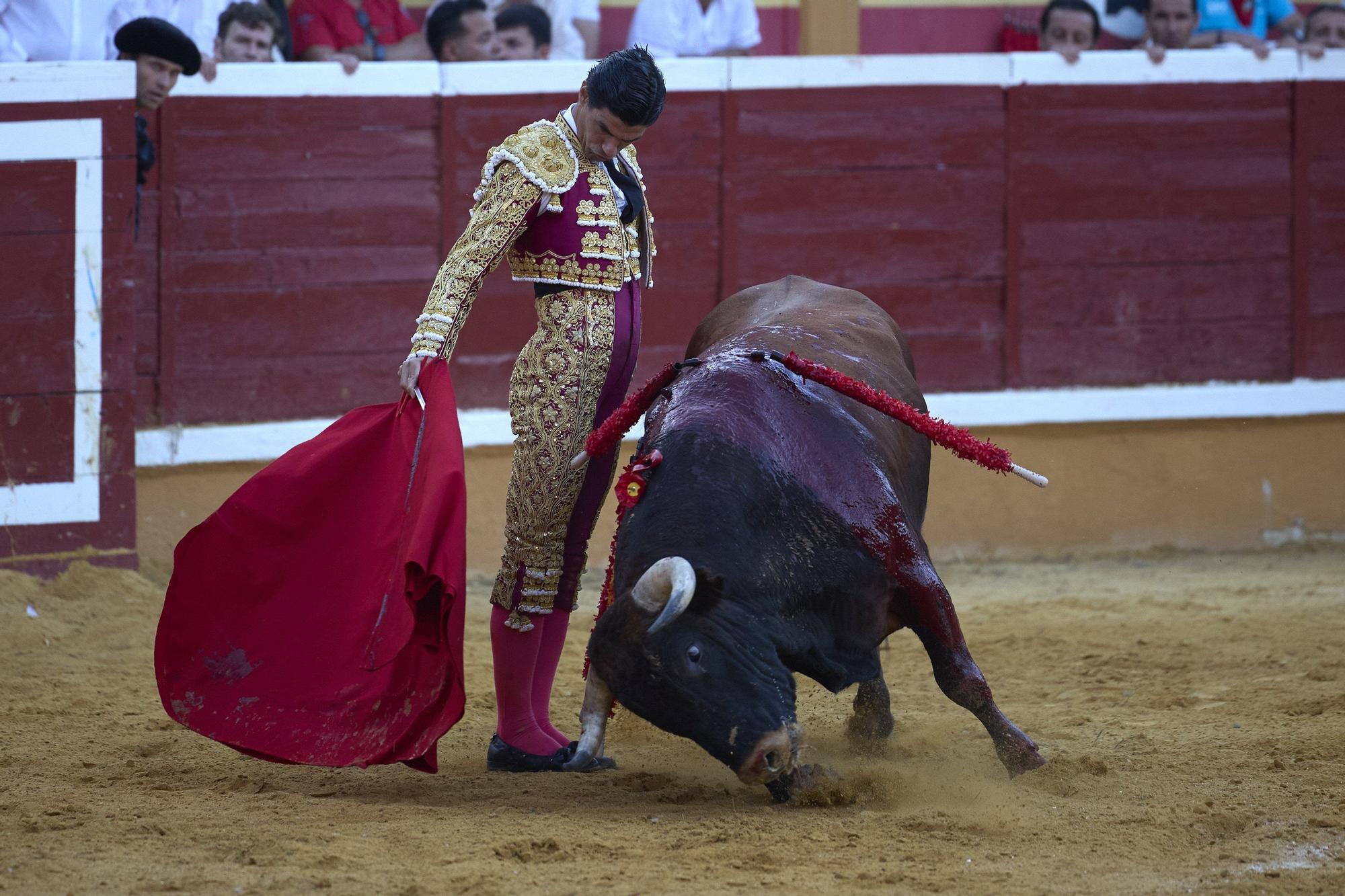 Fotos de la corrida de toros en Tudela con toros de Garzón Valdenebro