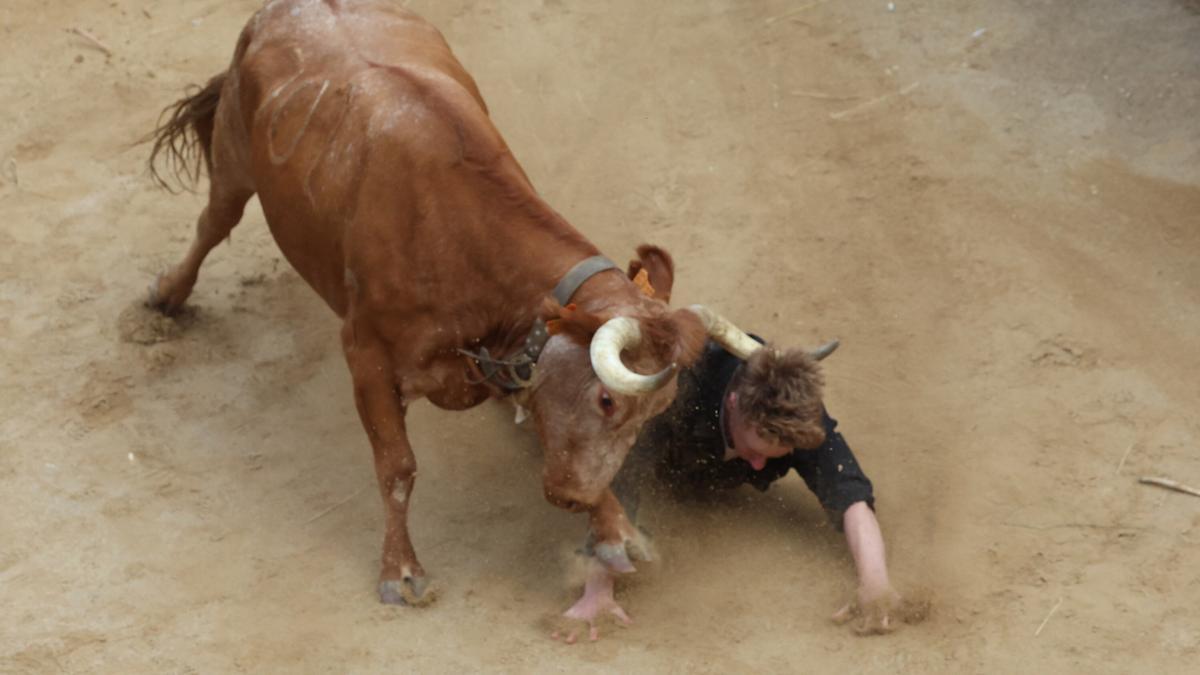 El joven arrollado por una de las reses.