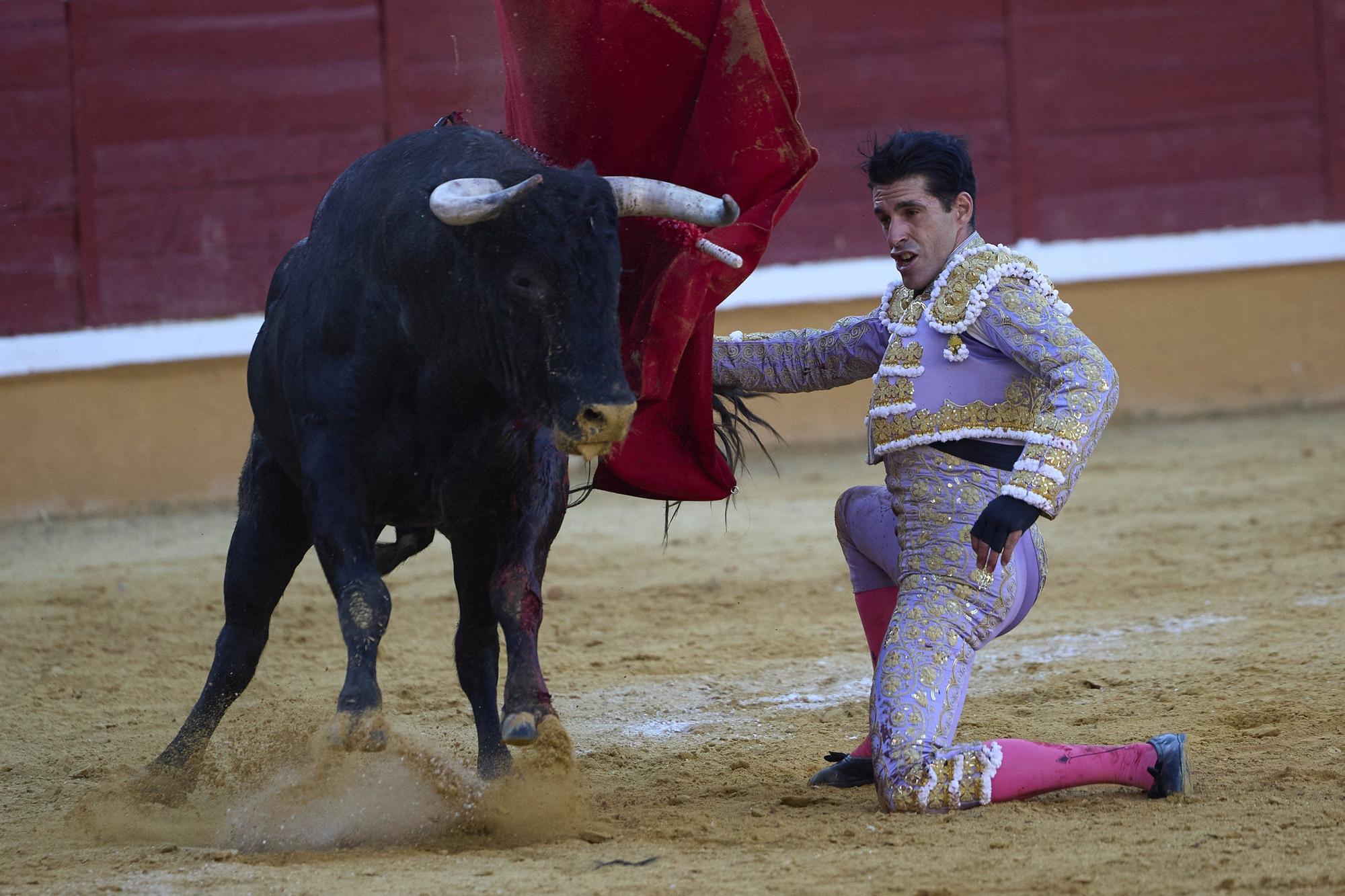 Fotos de la corrida de toros en Tudela con toros de Garzón Valdenebro