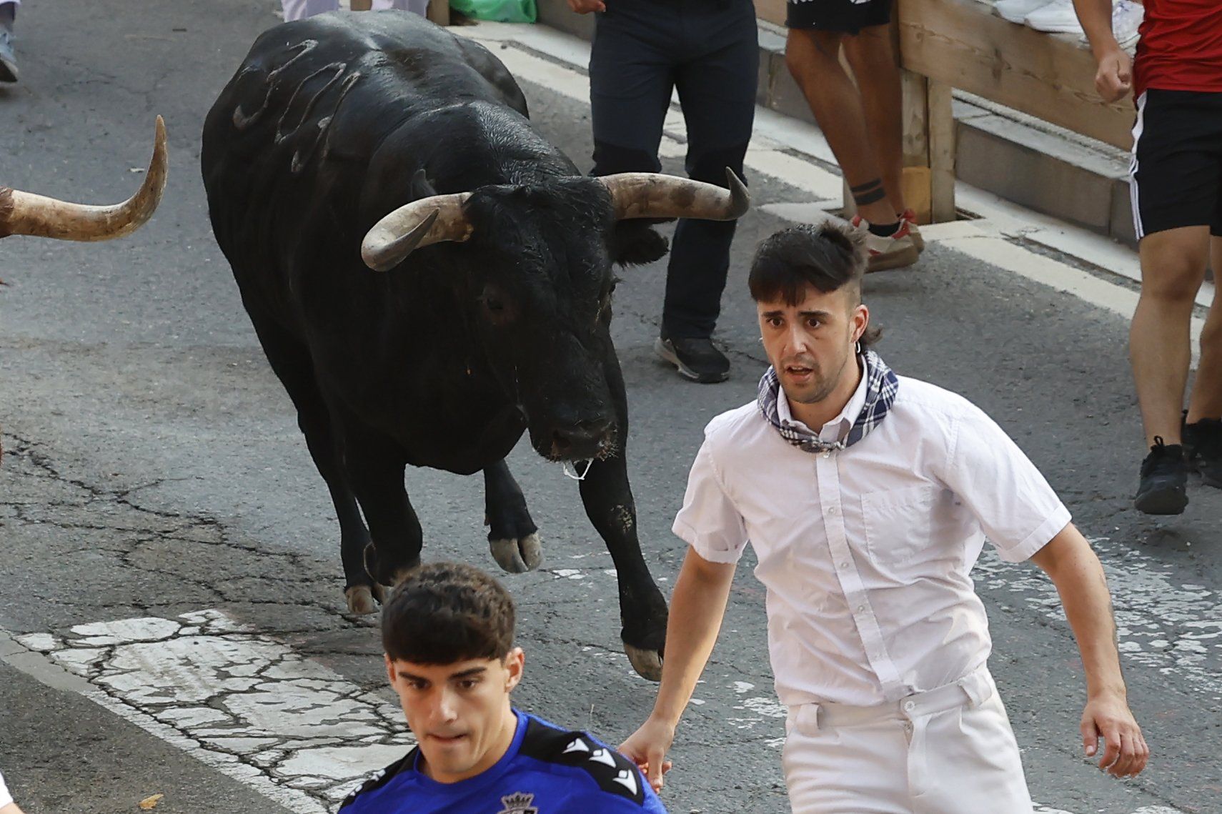 Fotos del segundo encierro de fiestas de Tafalla 2025