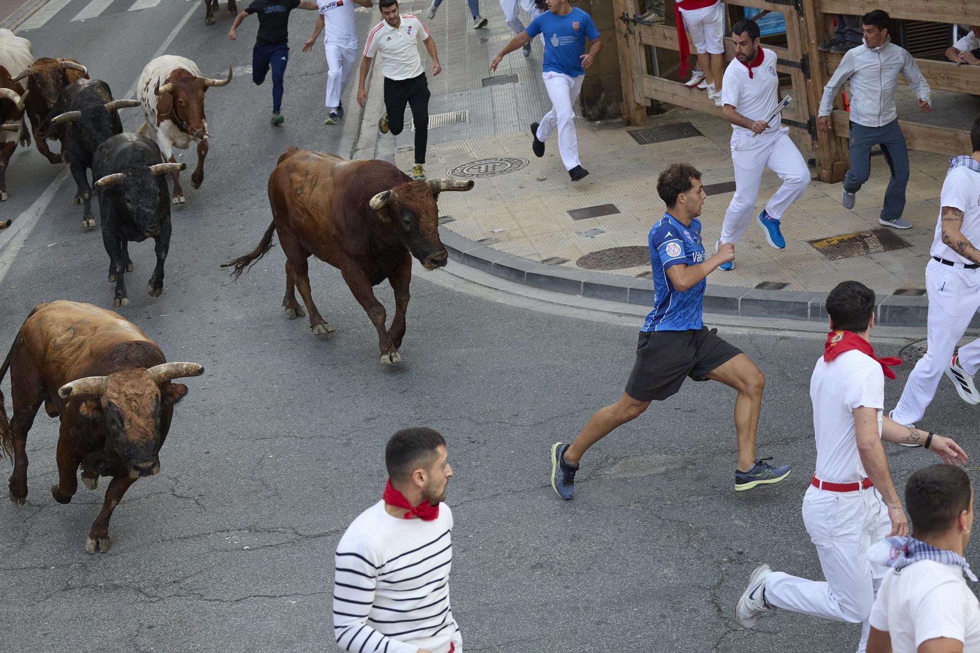 Fotos del sexto encierro de las fiestas de Tafalla 2025