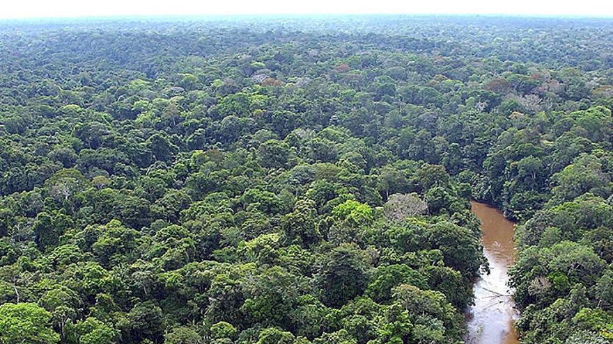 Street View ya permite conocer el Amazonas desde casa