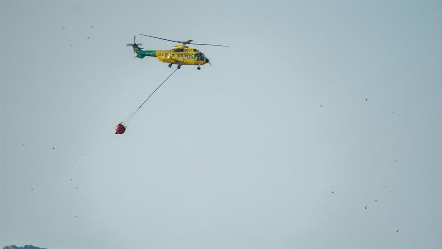 El incendio forestal de Tarifa es intencionado, según la Junta de Andalucía