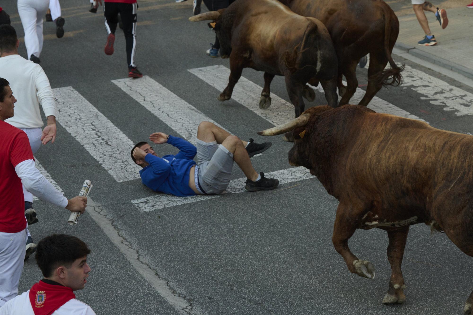 Fotos del sexto encierro de las fiestas de Tafalla 2025