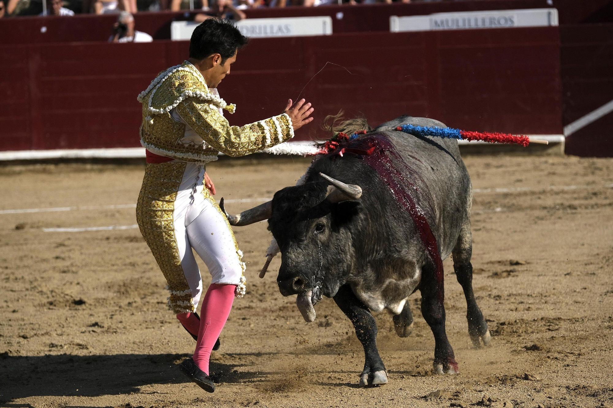 Fotos de la corrida con toros de Partido de Resina en fiestas de Estella-Lizarra