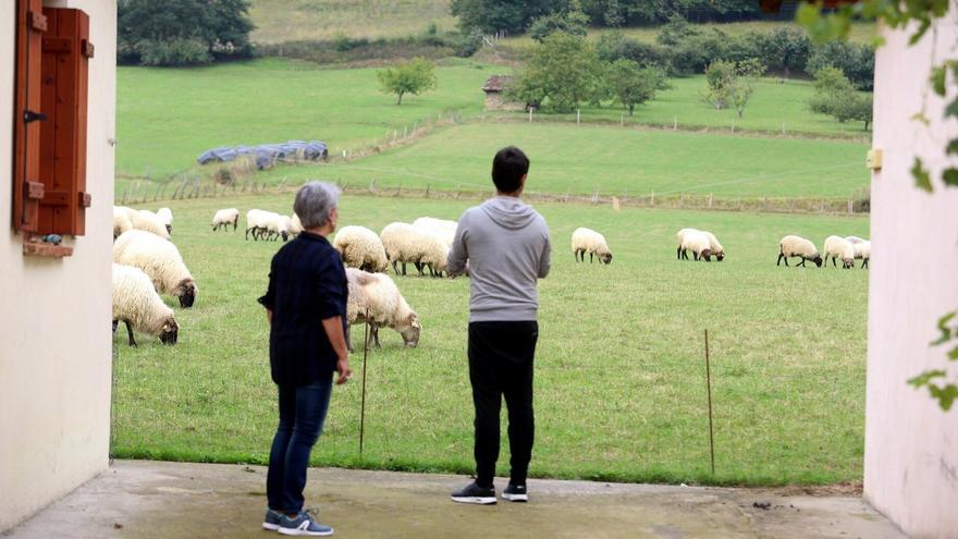 Reservas al 65% este mes en los alojamientos rurales de Bizkaia