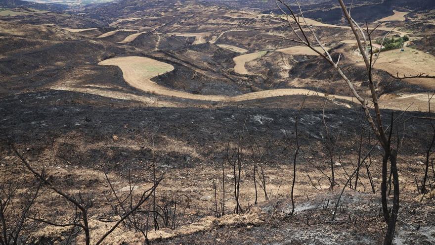Los incendios de junio calcinan más de 8,5 millones de kilos de cereal en Navarra