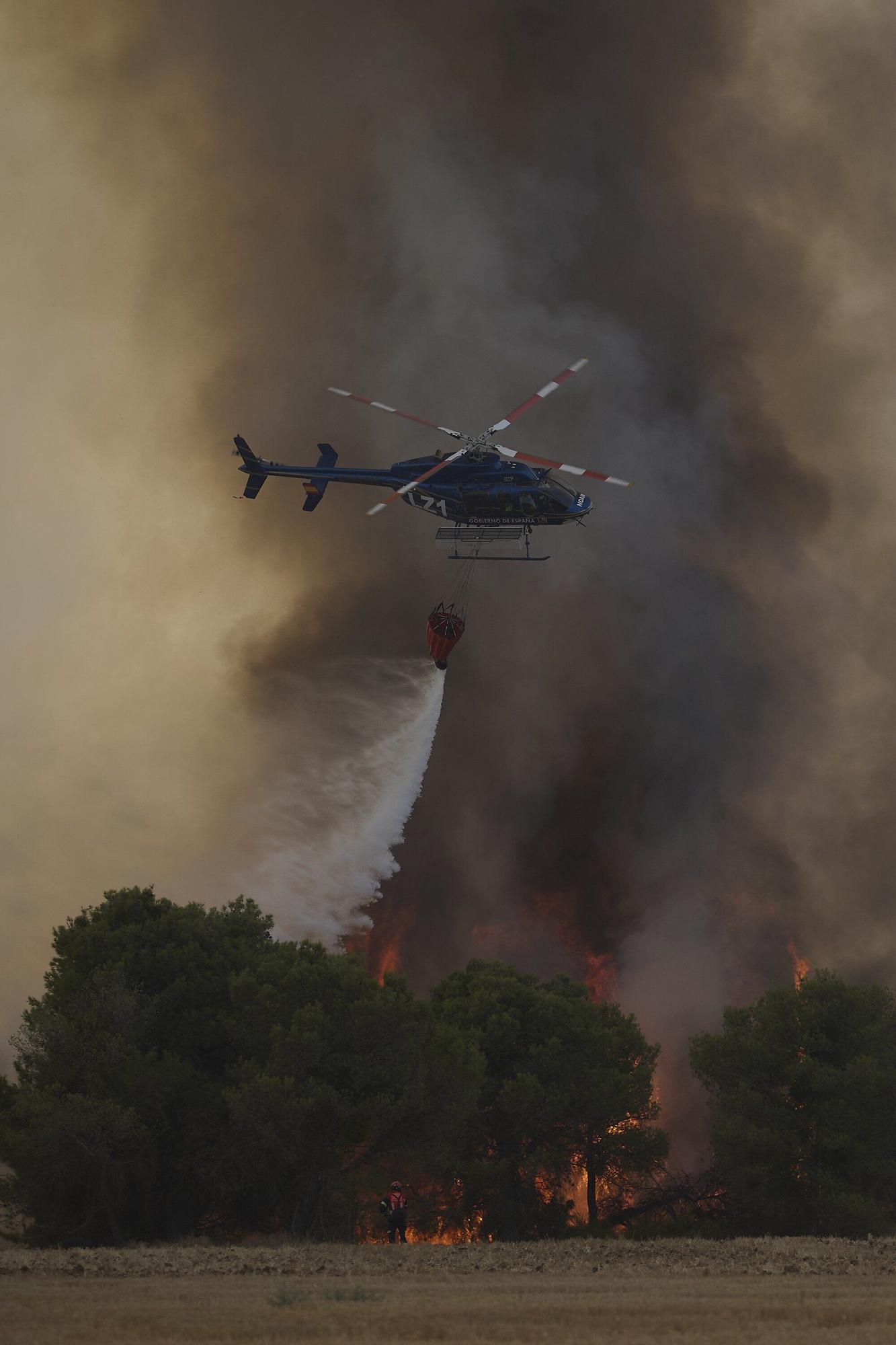 Fotos del incendio forestal cerca de Carcastillo