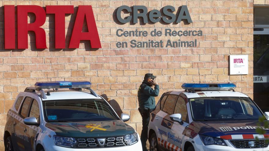 No hay evidencias de que el brote de peste saliera del laboratorio IRTA-CReSA