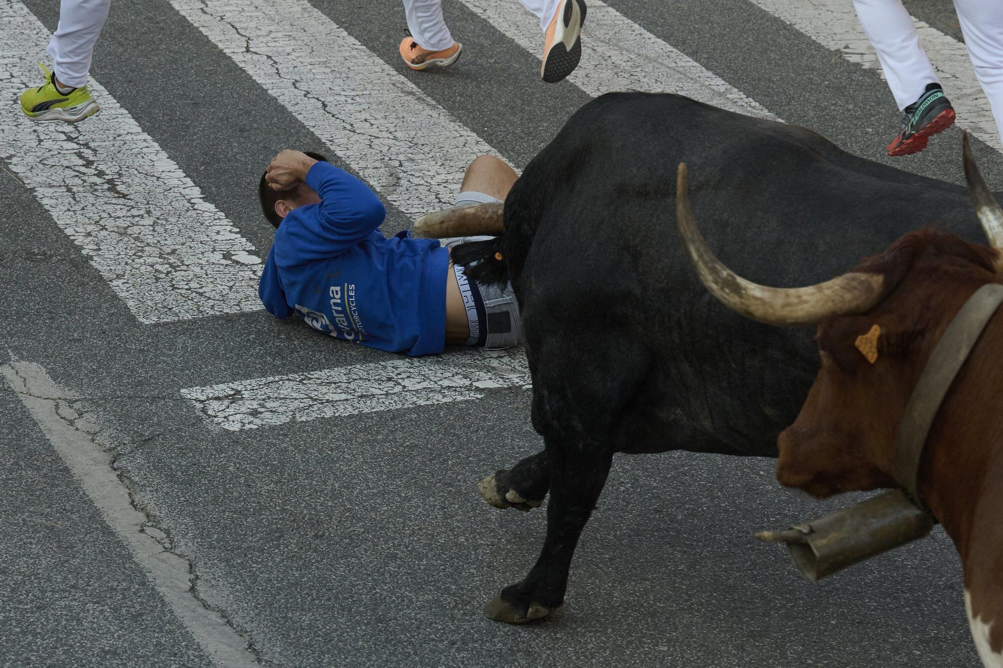 Fotos del sexto encierro de las fiestas de Tafalla 2025