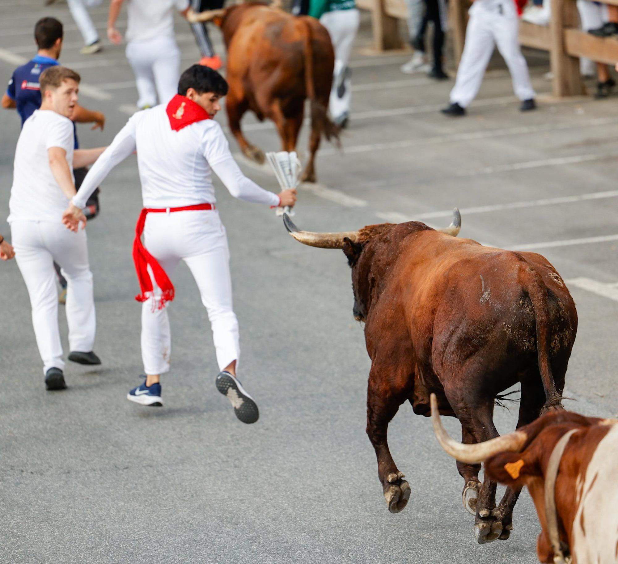 Fotos del quinto encierro de las fiestas de Tafalla 2025