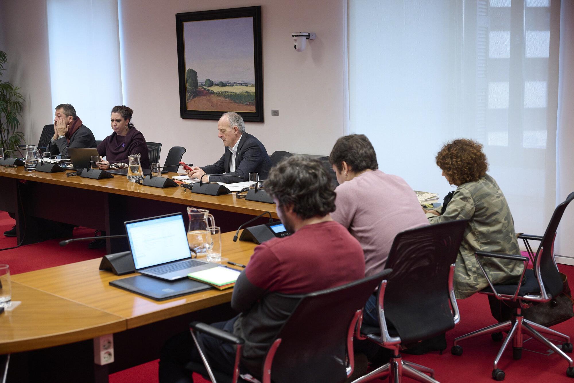 Comparecencia de Ignacio Irujo sobre el proyecto de duplicación de los túneles de Belate