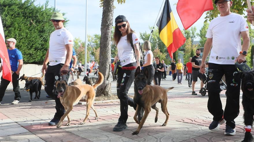 VÍDEO: La élite del adiestramiento canino desfila por Vitoria-Gasteiz