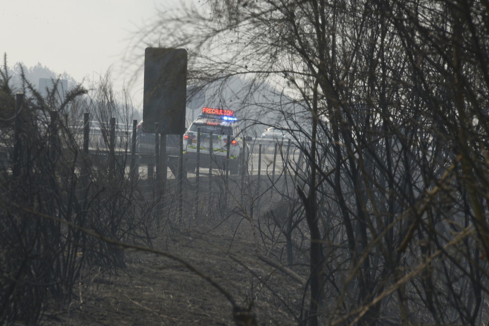 Semana negra de incendios: Cuatro muertos y 120.000 hectáreas quemadas