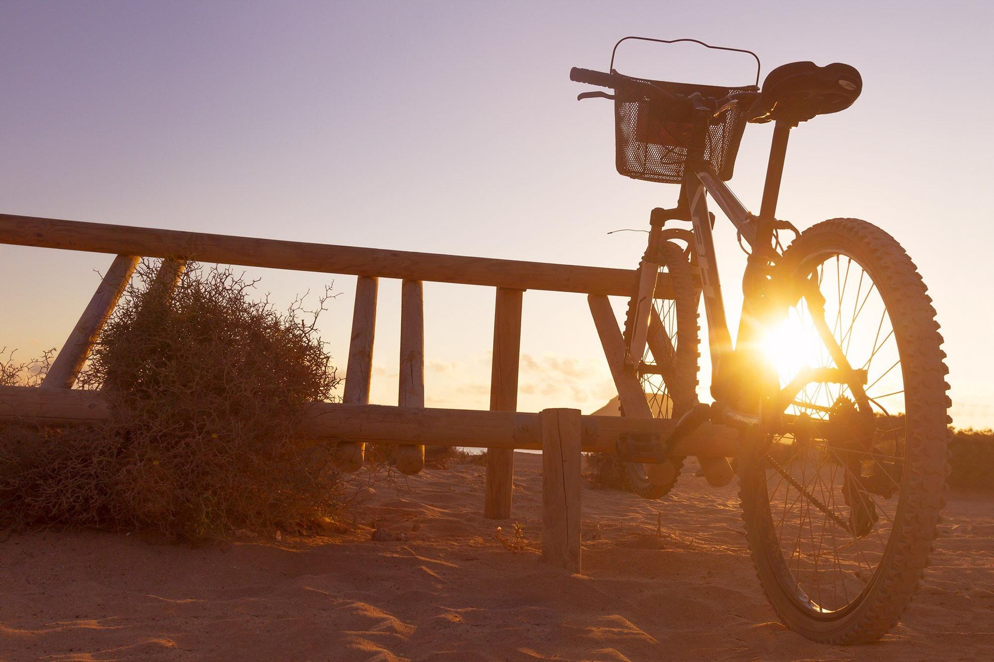 Una bici para las rutas.