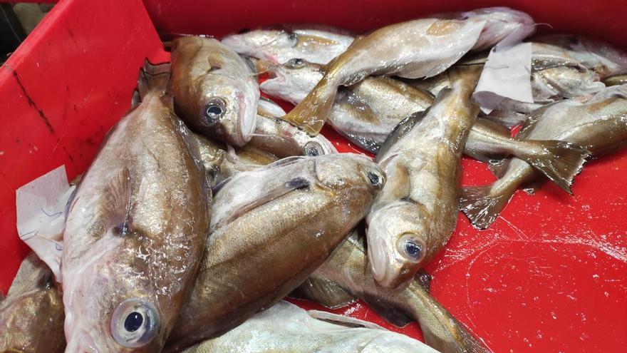 La OCU advierte de un sobrecoste del 30 % en el pescado fresco, envasado y fileteado