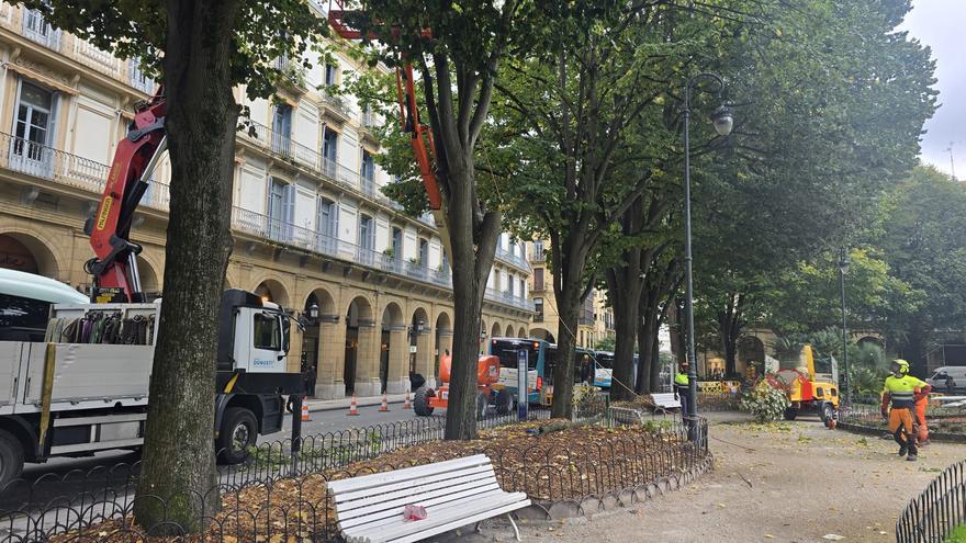 El Ayuntamiento de Donostia tala dos ejemplares de tilo en la Plaza Gipuzkoa