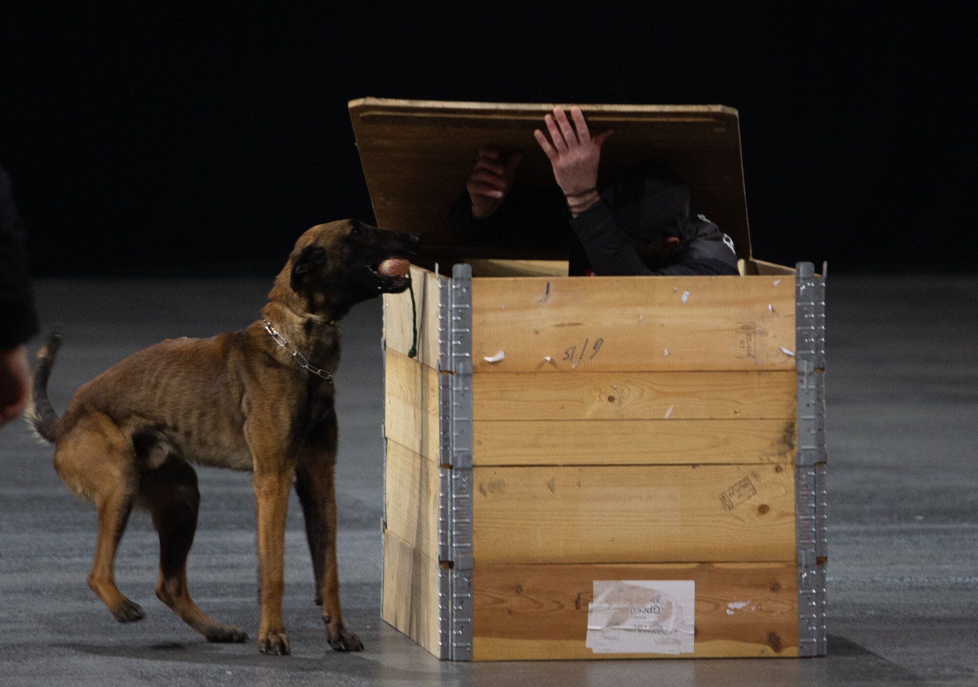 Exhibición de la Policía Foral en el Navarra Arena
