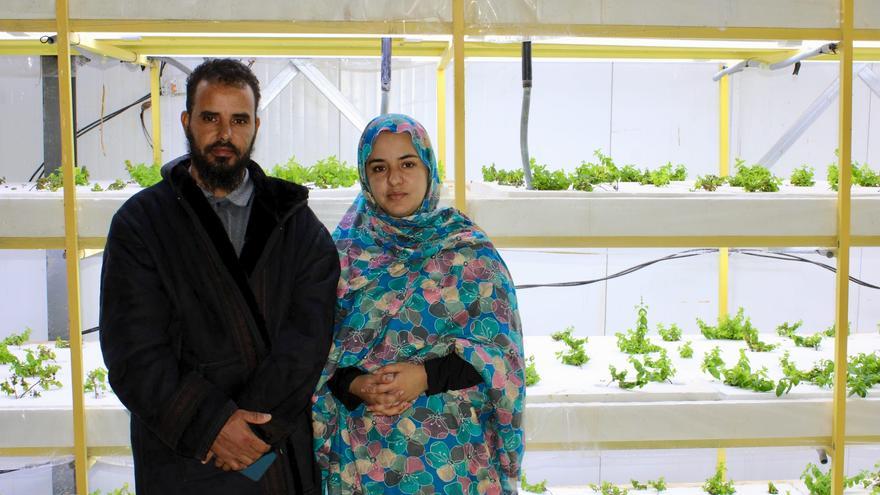 3.000 peces para un mar de arena y piedra en el Sáhara