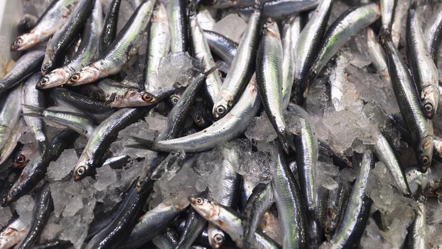 Euskadi lidera el consumo de pescado en el Estado, pero los jóvenes lo abandonan: "Solo lo comen en casa de sus padres"