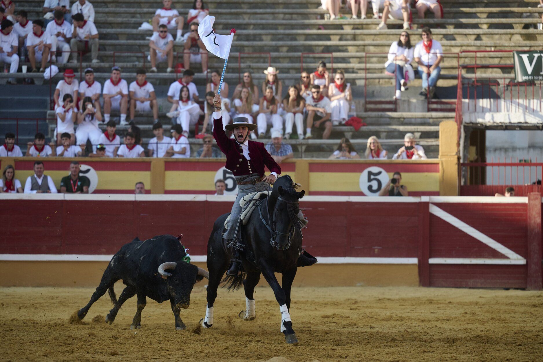 Fotos de la corrida de rejones de este domingo en fiestas de Tudela