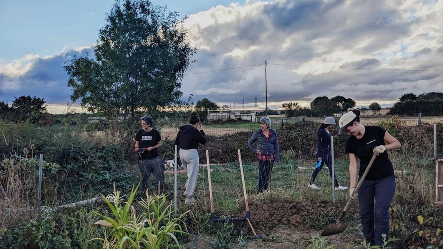 ‘Doipa’, un espacio para la cultura rural