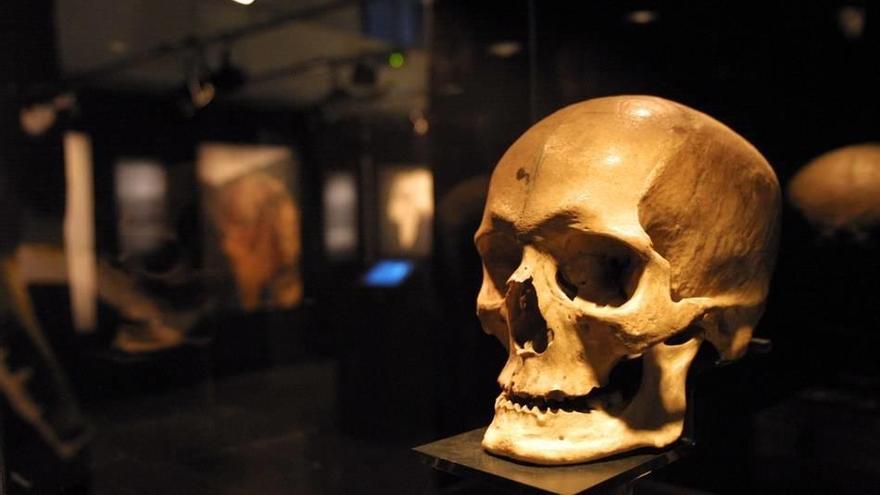 La evolución humana tiene una cita en Burgos.