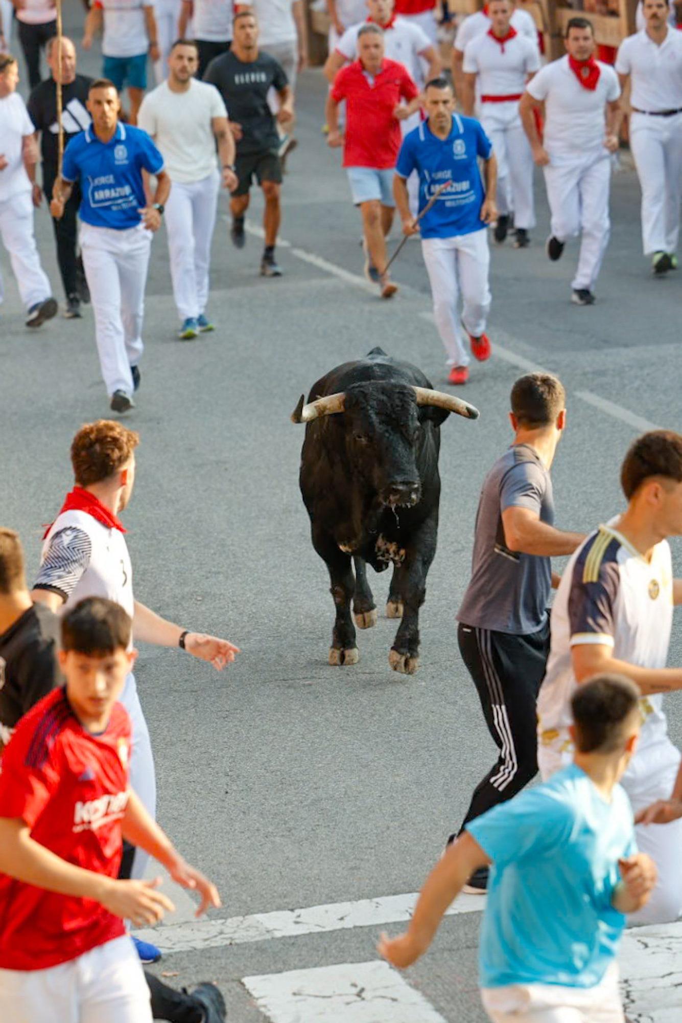 Fotos del primer encierro de fiestas de Tafalla