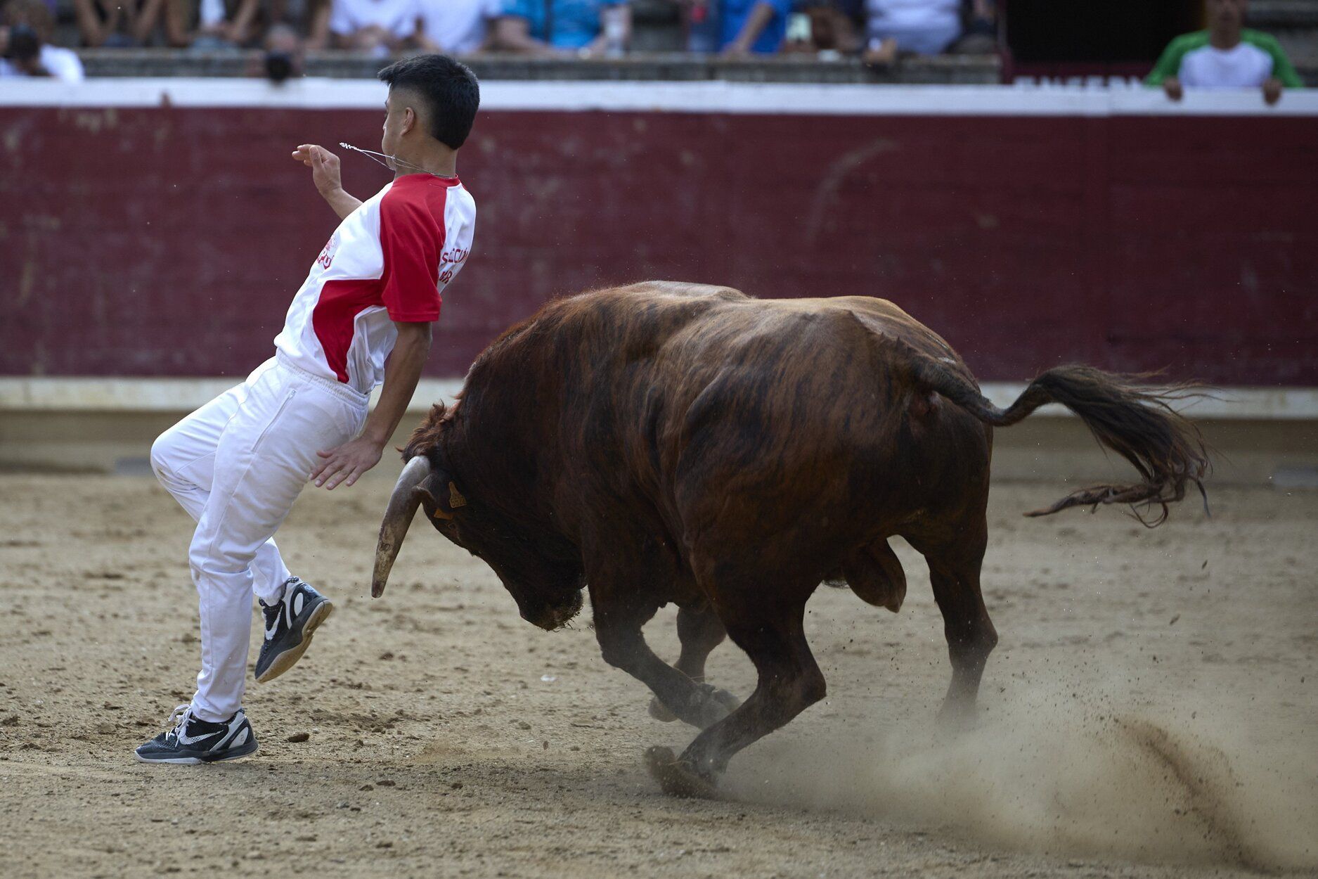 Fotos del concurso de recortadores de fiestas de Tafalla
