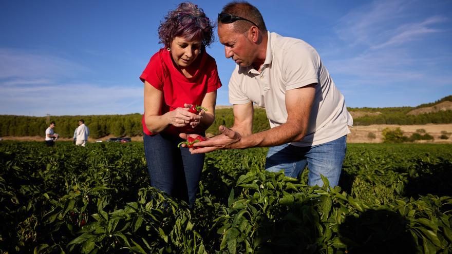 Navarra promociona su turismo gastronómico ante una veintena de periodistas e influencers