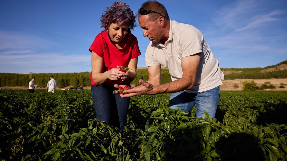 La consejera Esnaola, con el agricultor Jonás Romero, que explica el proceso de cultivo y recogida de los pimientos