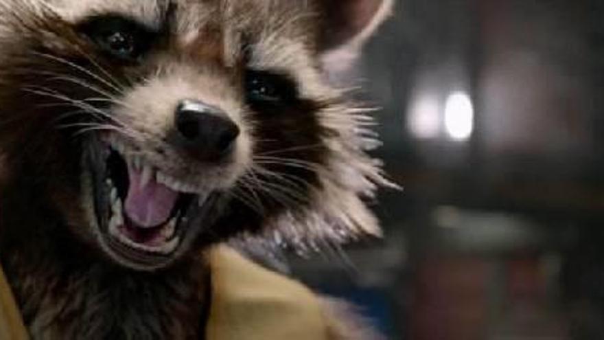 Sin duda, Rocket, con su peculiar sentido del humor y del honor, se convierte en el máximo exponente del éxito que les aguarda a Guardianes de la Galaxia.