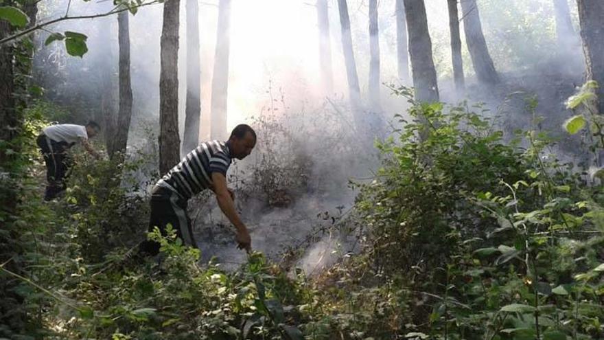 El incendio ha alcanzado a aproximadamente una hectárea de pinar y monte bajo.