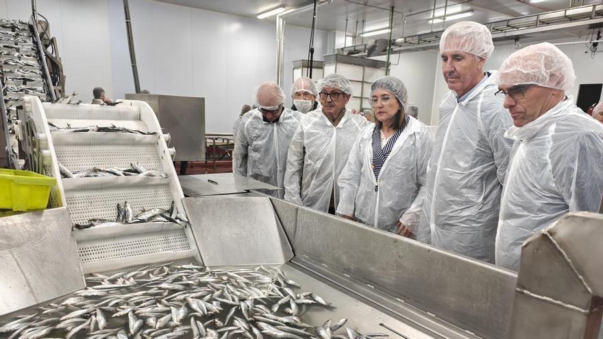 Nace Kofradia Basque Seafood para revitalizar y regenerar el sector de la pesca en Euskadi