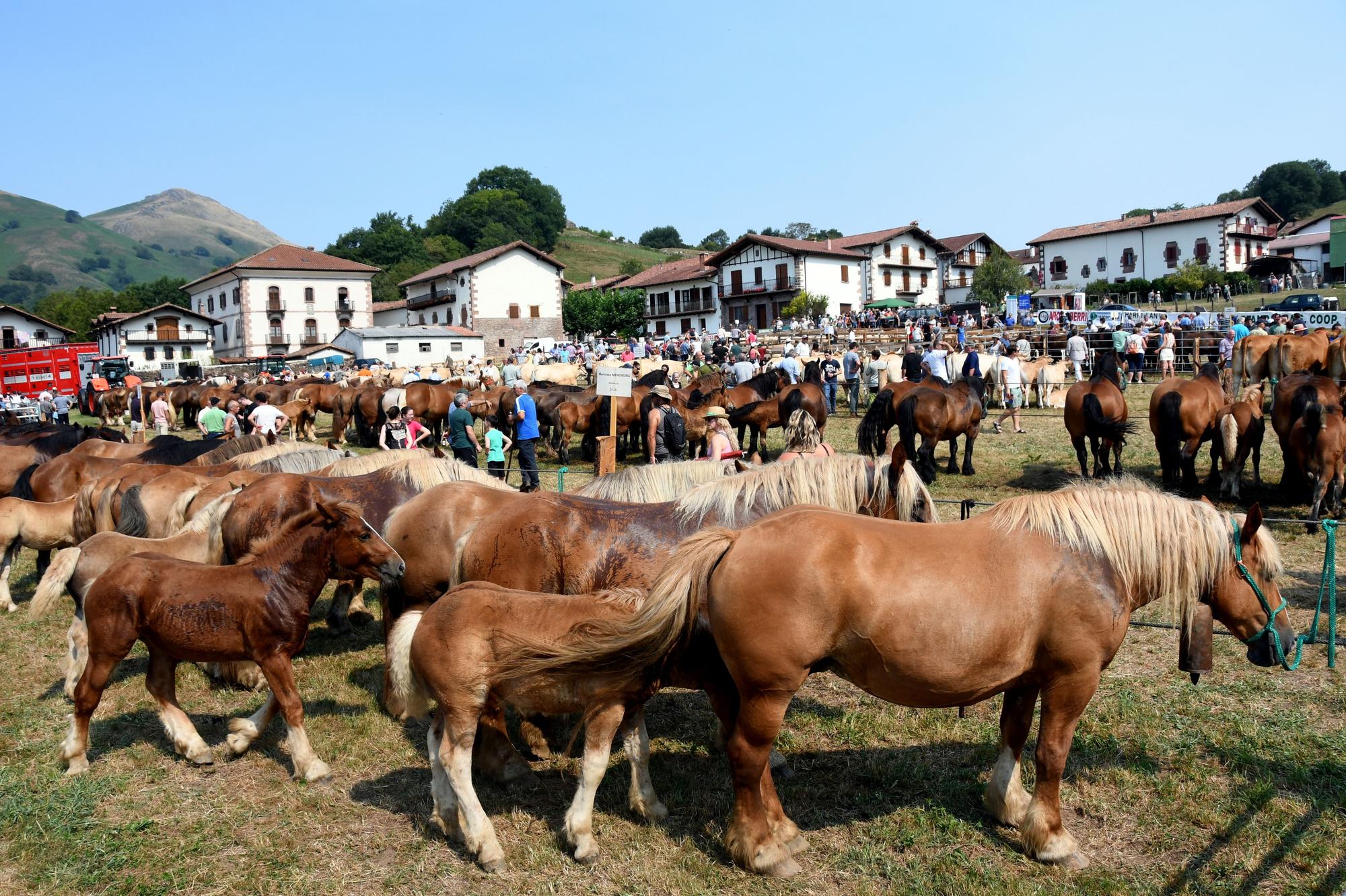 Artzai Eguna en Amaiur