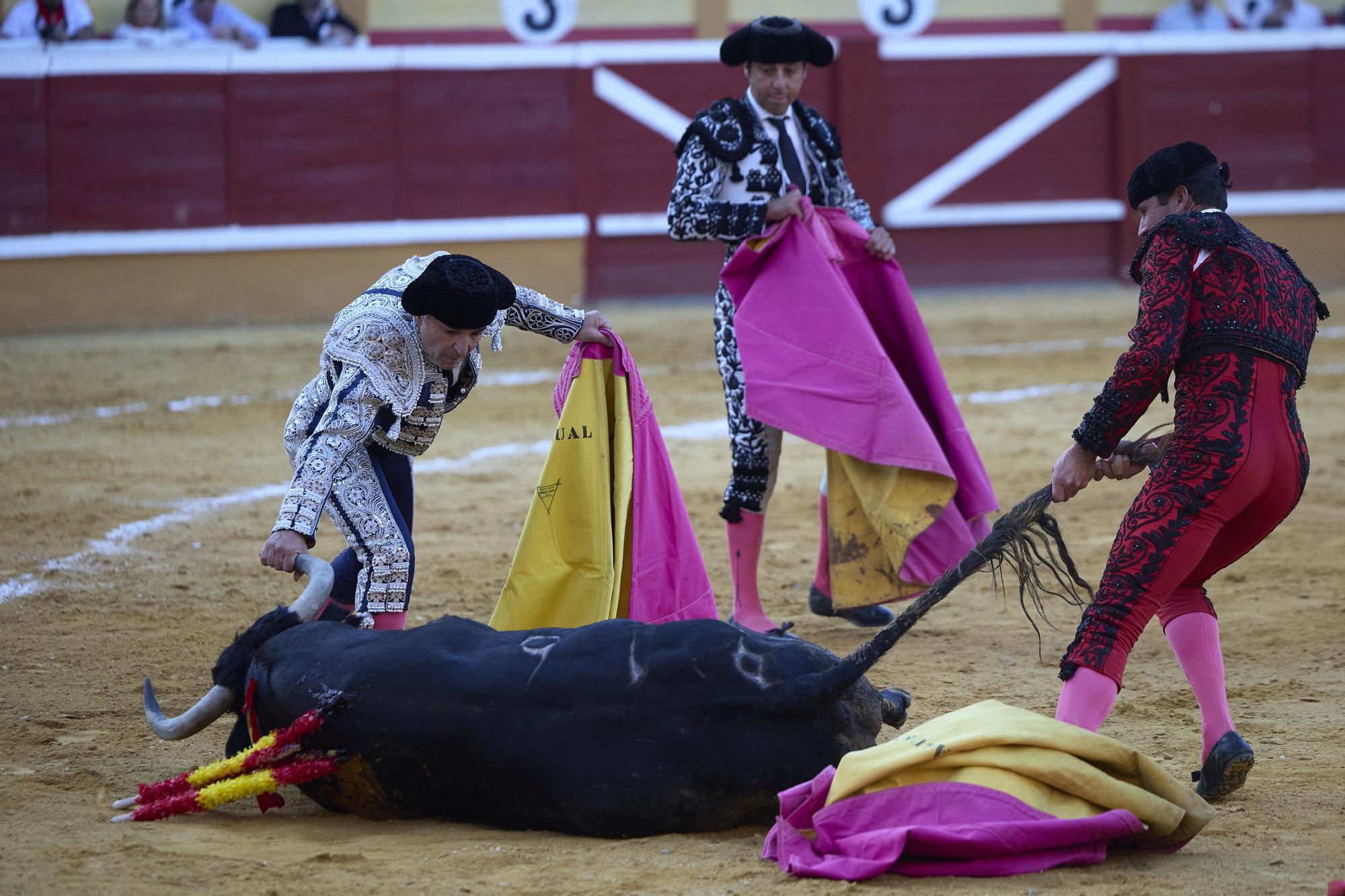 Fotos de la corrida de toros en Tudela con toros de Garzón Valdenebro