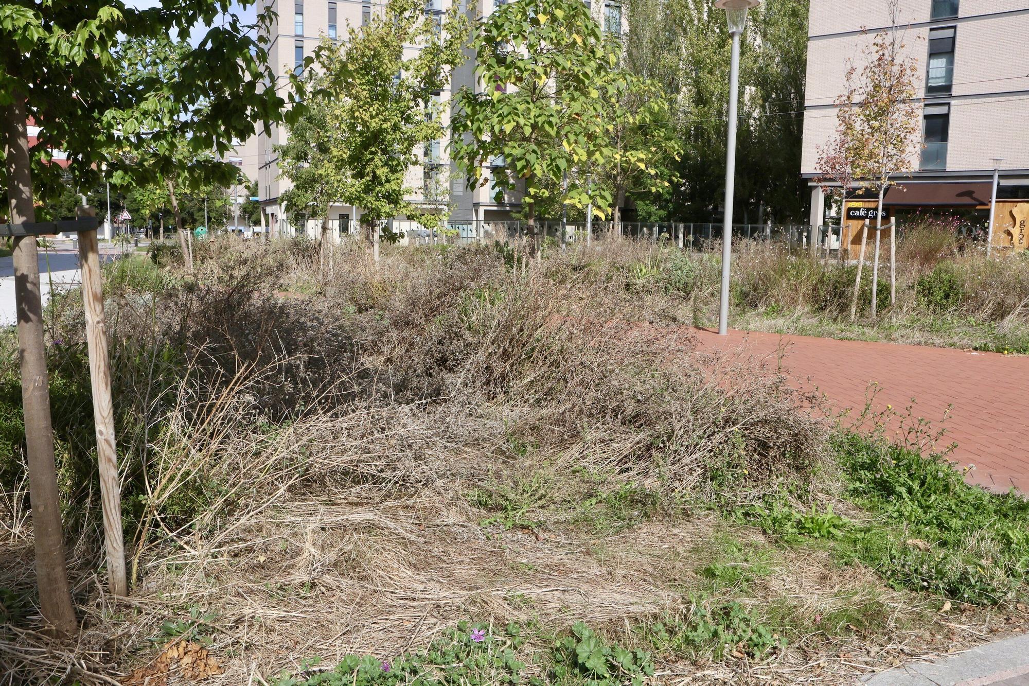 En imágenes: Vitoria-Gasteiz se prepara para adecentar el verde de la ciudad