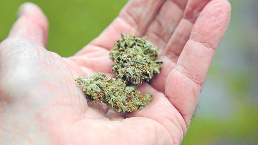 Cannabis con receta