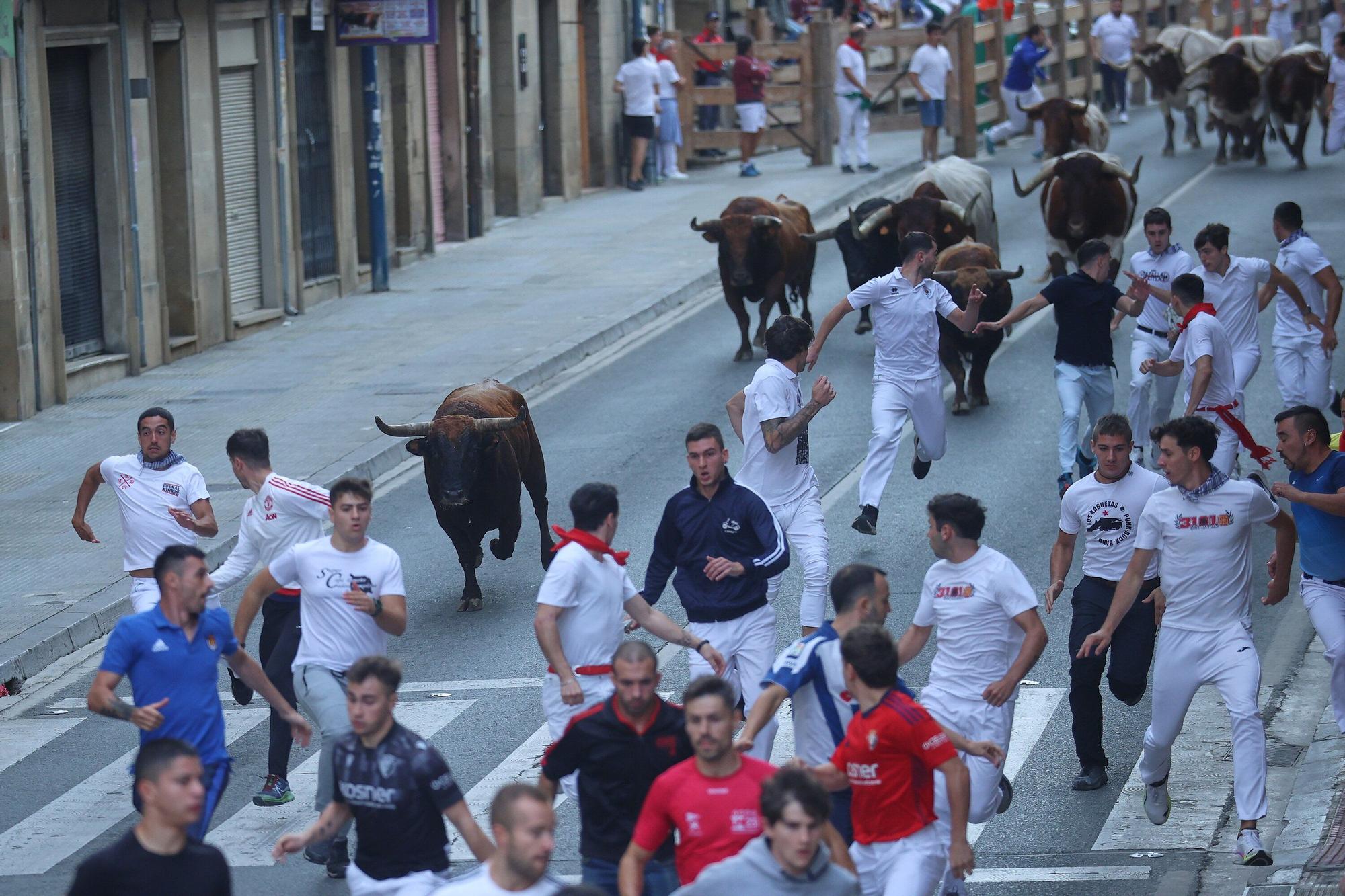 Fotos del quinto encierro de las fiestas de Tafalla 2025