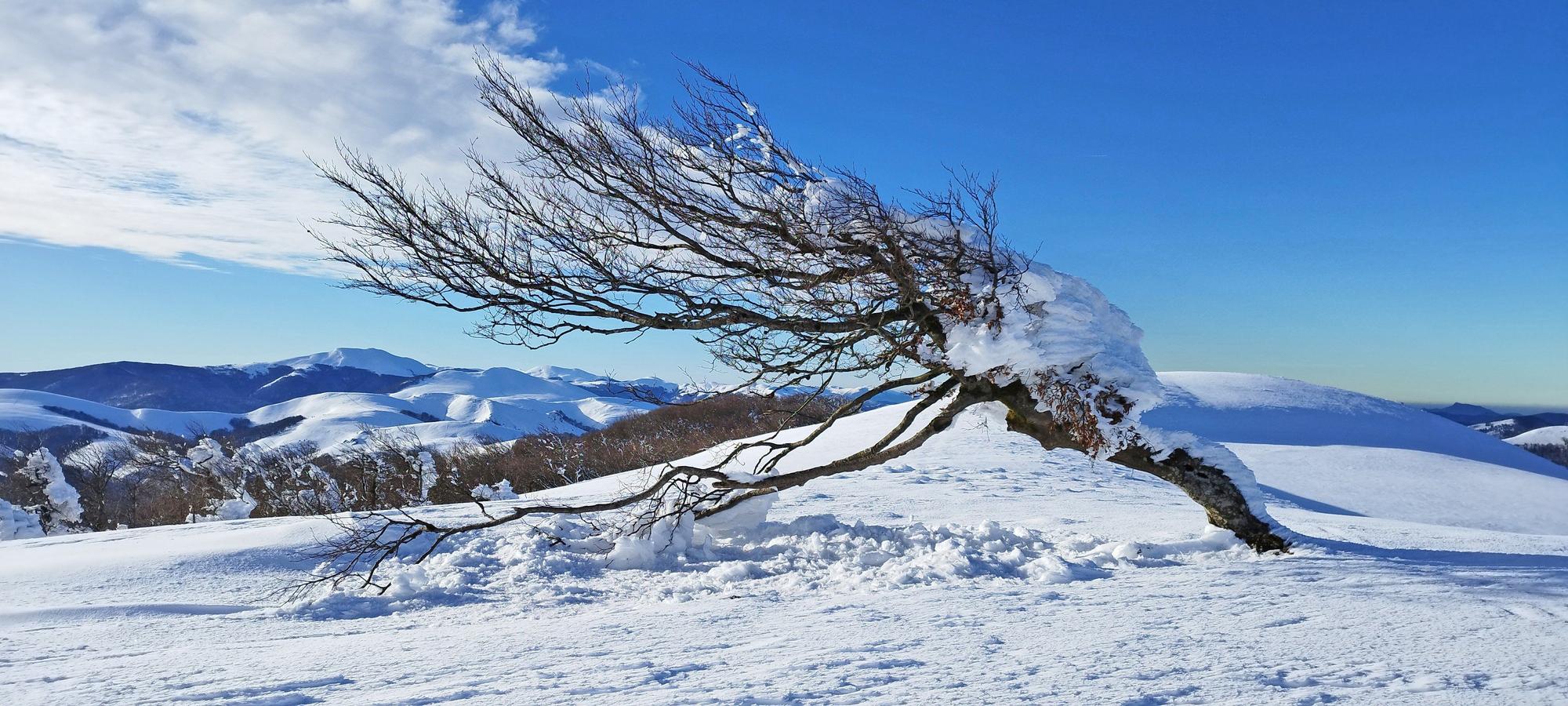 Fotos del calendario 2026 de DIARIO DE NOTICIAS