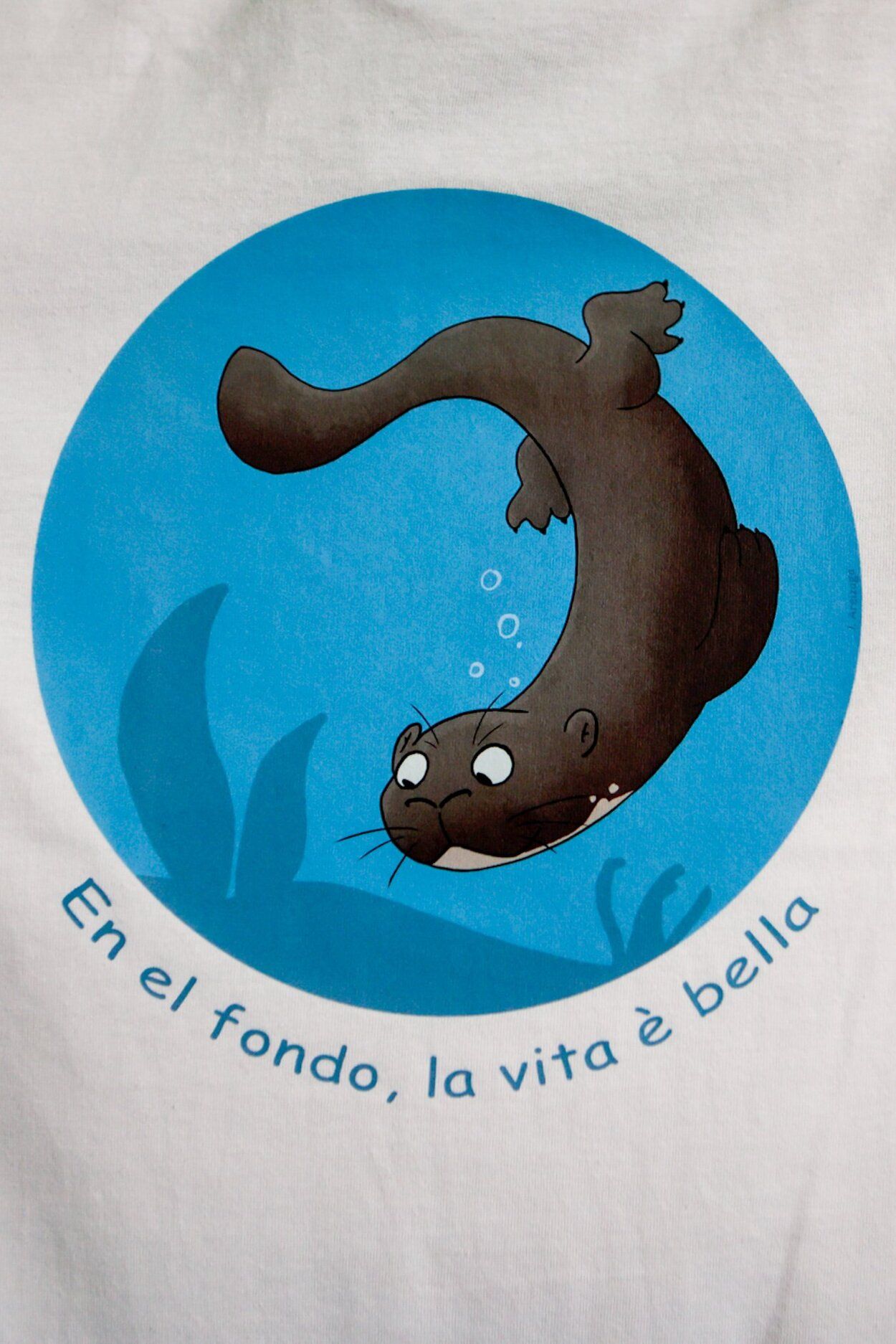 Presentación del proyecto BiYou de la Fundación Bidean