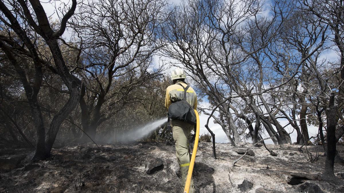 Imagen de un bombero en un incendio forestal