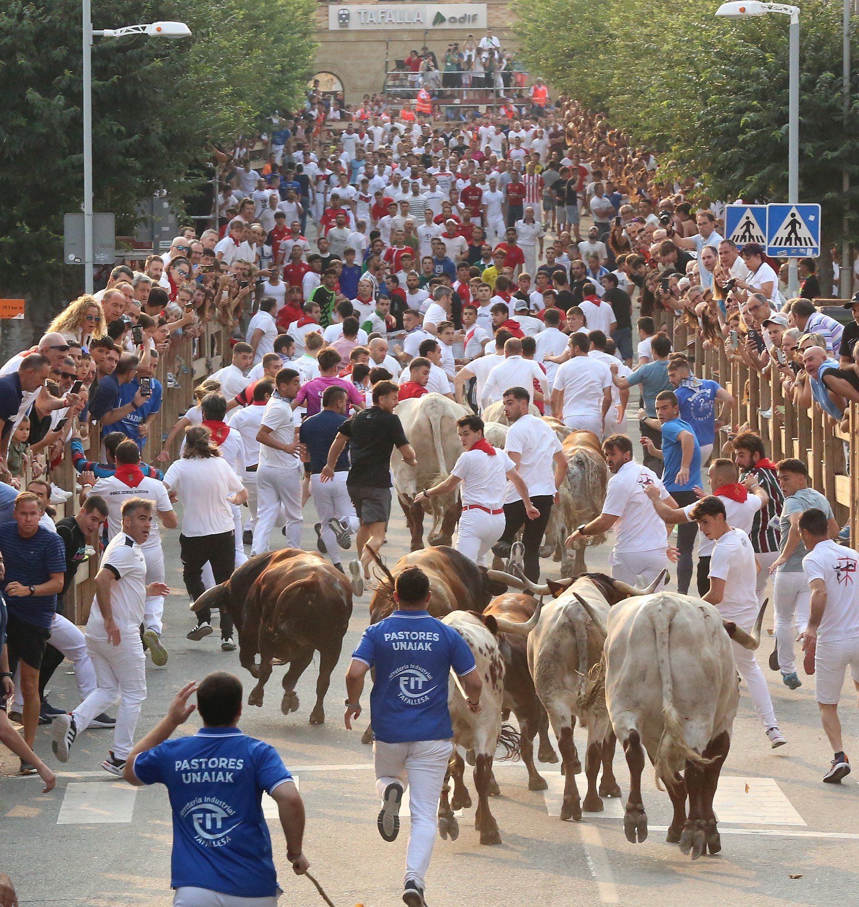 Fotos del tercer encierro de fiestas de Tafalla 2025