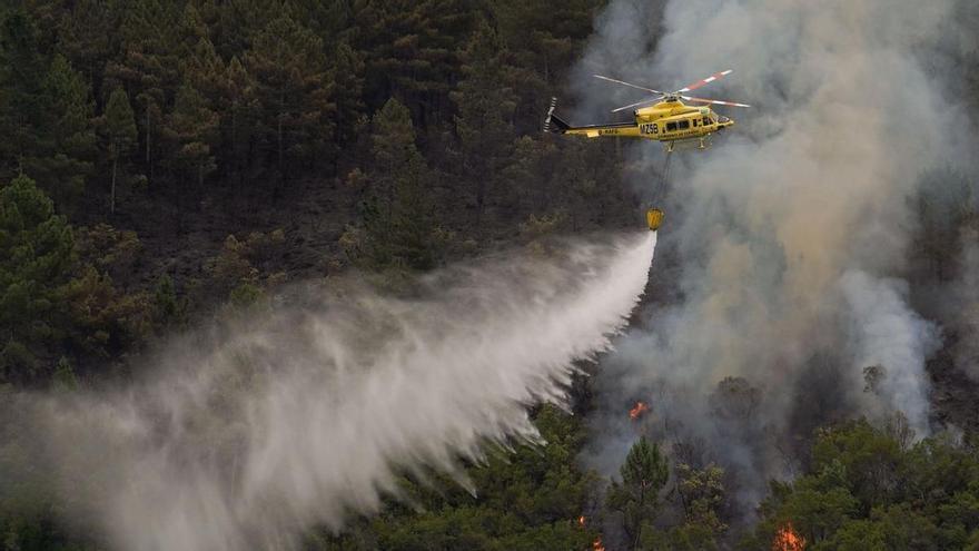 Suben a 50 los detenidos en el Estado por los incendios forestales desde junio