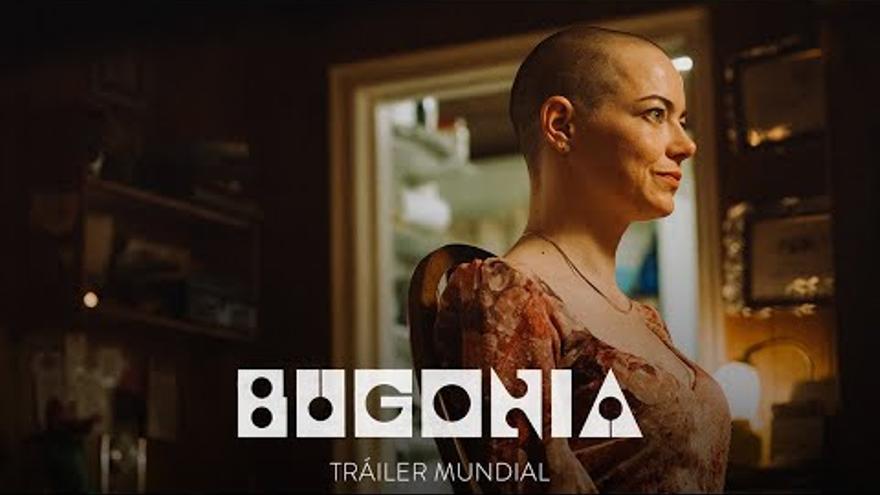 Crítica de &#039;Bugonia&#039;: en un lugar del planeta verde