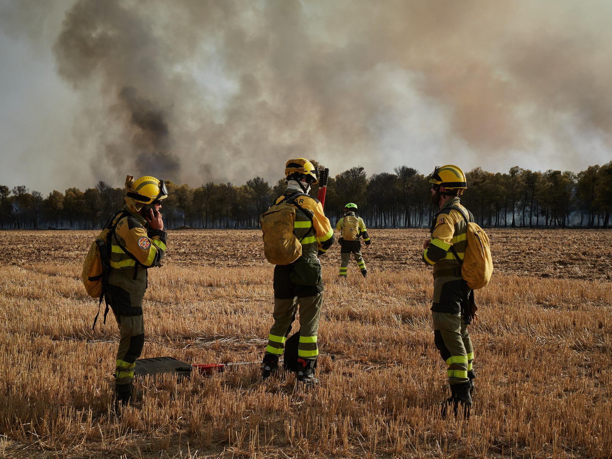 Fotos del incendio forestal cerca de Carcastillo