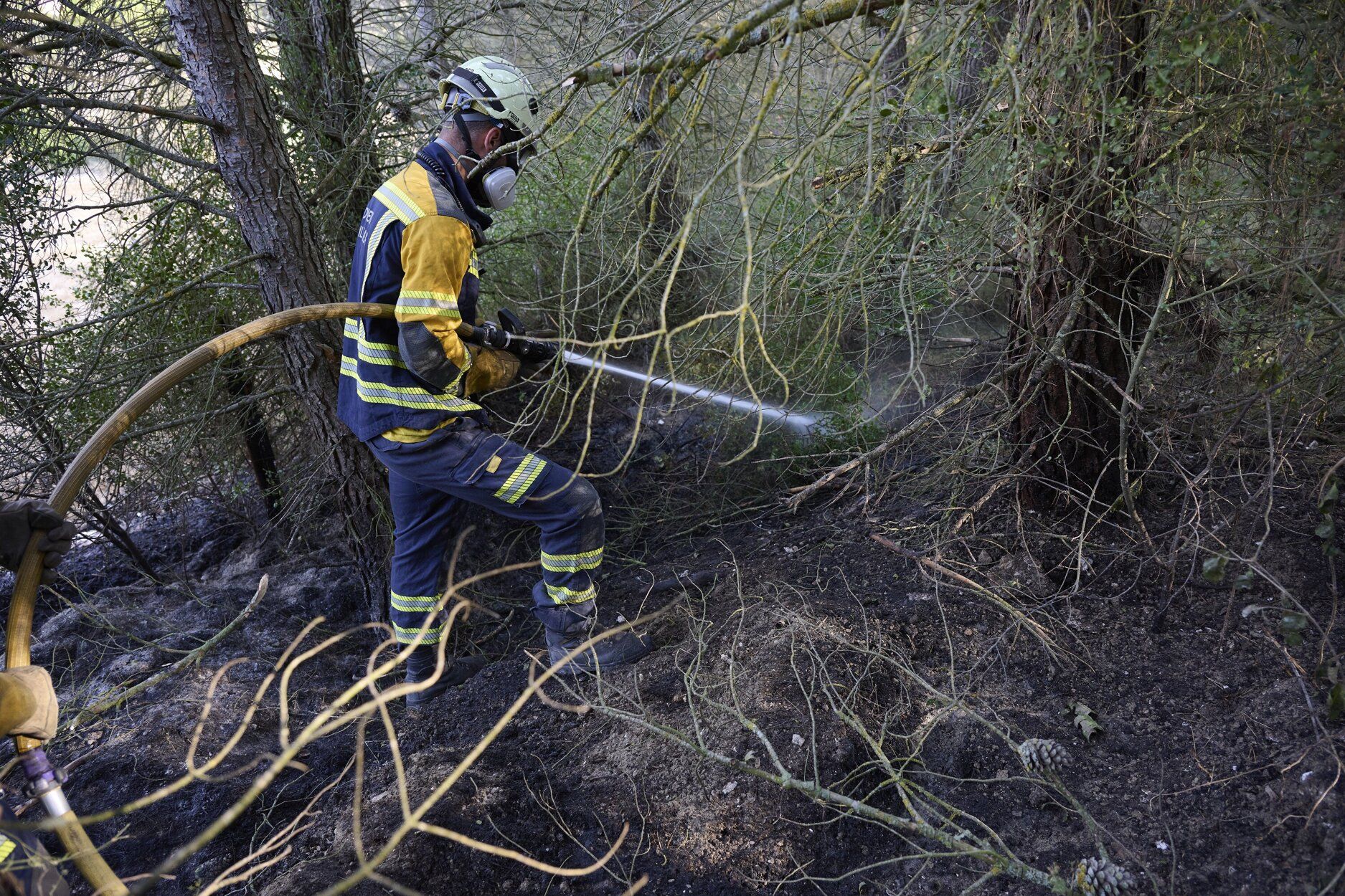 Imágenes de la zona afectada por el incendio en Enériz