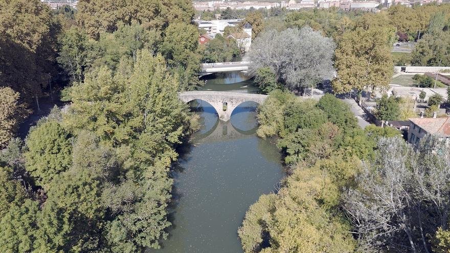 Pamplona combate 5 especies vegetales invasoras en las riberas del Arga, Sadar y Elorz