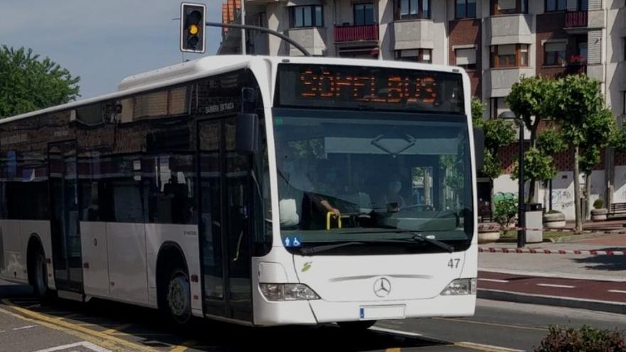 Sopelbus, doakoa da 14 urtetik beherakoentzat