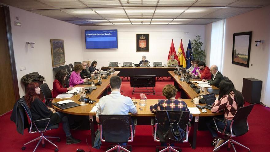 El Defensor del Pueblo recomienda a Navarra que revoque la ampliación de plazos para resolver la Renta Garantizada